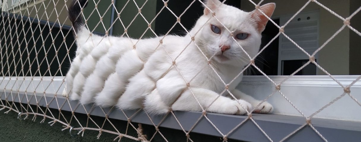 Redes de Proteção para Gatos em Joinville